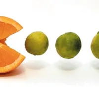 C vitamin, ki ga vsebujejo citrusi, pomaga pregnati gripo in krepi zaradi bolezni oslabljen organizem 