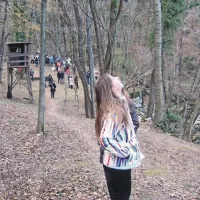 Kipec na blazinici iz maha