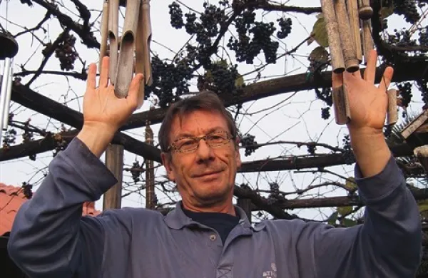 Zlatko Kaučič