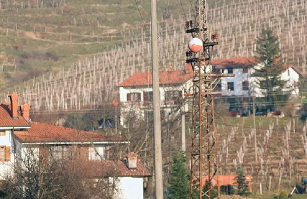 Padalec, doma s Štajerske, se je zapletel v žice daljnovoda 