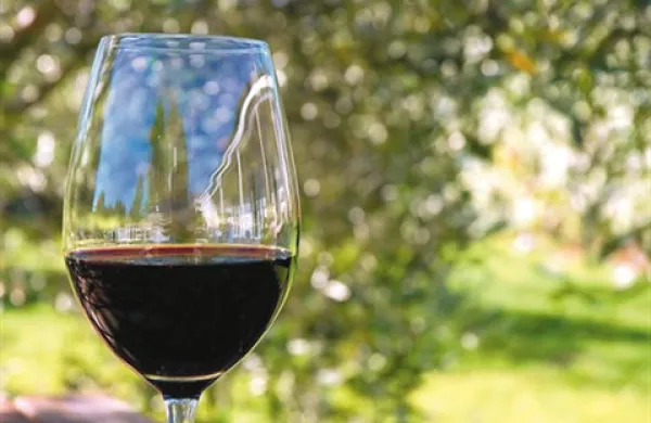 Novela zakona o zakona o vinu v gostinskih lokalih prepoveduje točenje neustekleničenih vin