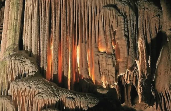 Največjo slovensko turistično jamo si bo v letošnjem letu ogledalo 545.000 obiskovalcev