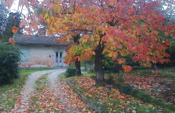 Fotografija je simbolična