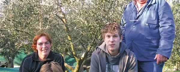 Družina Trošt dokazuje, da oljke niso le istrska domena