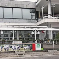 Družba Lipica turizem, d. o. o., bo  najkasneje do konca prihodnjega leta dobila novega lastnika 