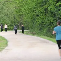 Nacionalni program - krizi primerno - poudarja naravo kot najpomembnejšo telovadnico. Na fotografiji je priljubljeno novogoriško tekališče v gozdu Panovec