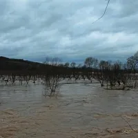 Prvačina
