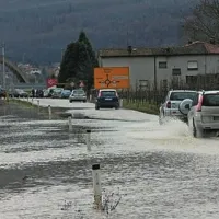 Bukovica