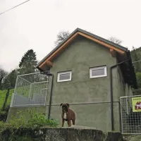 V Ljubinju so pridne roke iz veterinarske ambulante med poletjem gradile tri bungalove v etažah  