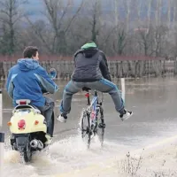 Dokler gre, gre ...