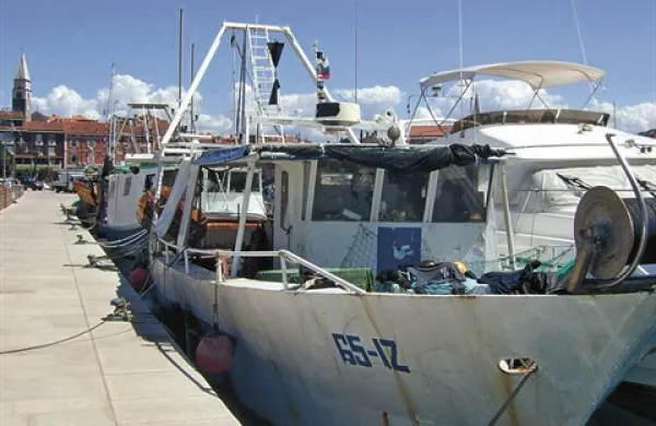 Težave nekaterih ribičev, ki imajo po obnovi ribiškega pristanišča v Kopru otežen vstop in izstop s plovil, bodo na občini poskušali rešiti s pontoni ali plavajočim pomolom