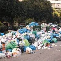 Nesnaga, raj za škodljivce, tudi za žuželke