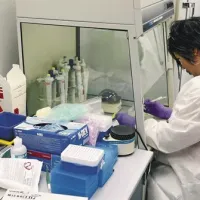 Podatki o obolelih za gripo niso natančni, saj pri vsakomur, za katerega zdravniki posumijo na to okužbo, ne odvzamejo vzorca brisa za laboratorijsko analizo