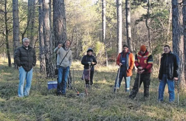 Agrarna skupnost Divača je v zadnjih letih s pomočjo gozdarske stroke v gozd tudi vlagala - med drugim so gozd pomlajevali s sajenjem želoda