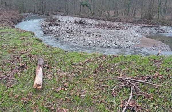Le eden od mnogih prizorov, ki priča o tem, da Branica ubira nove poti. Ob deževju reka na tem rokavu prestopa bregove in uničuje ozemlja.