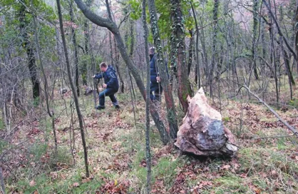 Domačini ocenjujejo, da je na pobočju nad vasjo pristalo vsaj 800 kubičnih metrov oziroma dobrih 2000 ton skal. Na srečo je vse zadržal gozd in se niso zvalile v vas in na cesto.