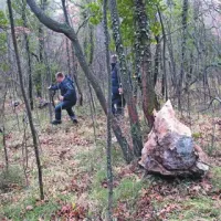 Na srečo so vse skale zadržala drevesa, tako da niso popadale na cesto in hiše  
