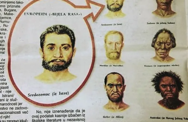 Ilustracija je iz učbenika Naše tijelo: mali anatomski atlas, Školska knjiga, 1989