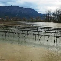Tolmin, narasla reka Soča