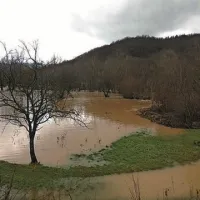 Trpčane