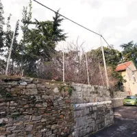 V Pini upajo, da bodo lahko dobili v uporabo katero od zelenih površin v mestnem jedru
