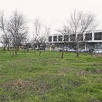 Zelenica med pošto in stavbo avtobusne in železniške postaje bo namenjena parkiranju 