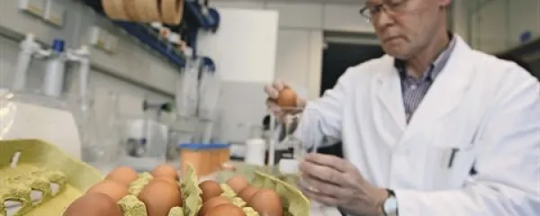 Teste, ki jih uporabljajo za ugotavljanje varnosti aditivov,  izvajajo izolirano, kar pomeni, da   na stranske učinke naenkrat testirajo  samo en aditiv