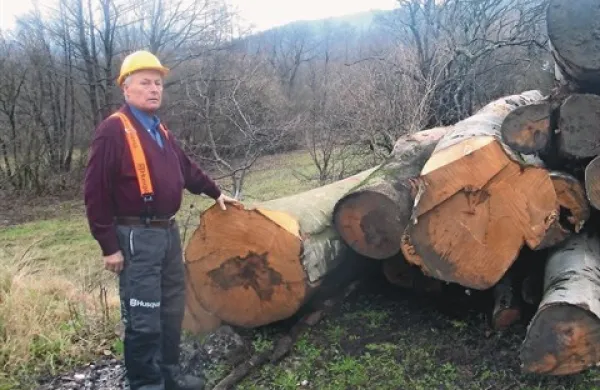 Jože Iskra pri jesenskih “pridelkih” bukovine
   