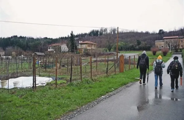 V mestu so sicer že vrtički tudi na občinski zemlji, a še niso enotno urejeni