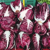 Veliko zelenjave lahko uživate v surovi obliki