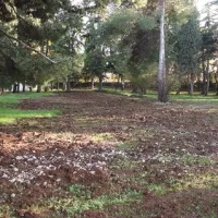 ... in nesojeni sprehajalni poti 