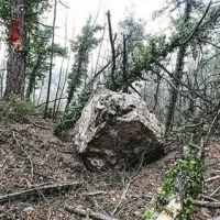 V Bezovico so  pripeljali stroje