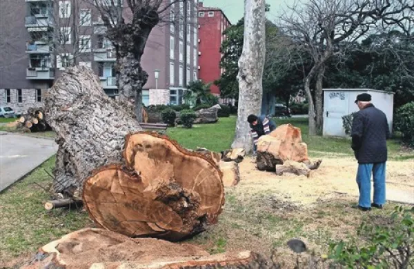 Ko pade na tla pet takih orjakov, je prostor naenkrat videti -  prazen 