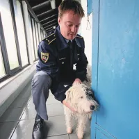 Matej Bizjak nam je  razkazal pesjake v enoti službenih psov v Mirnu in  predstavil “pasje policiste”