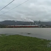 Ilirska Bistrica, reka Reka