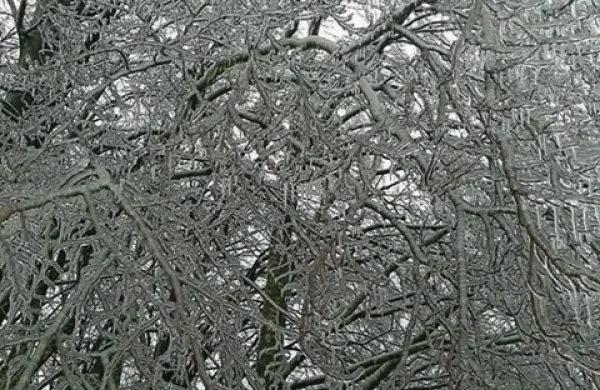 Severna Primorska v primežu snežnih plazov in žleda