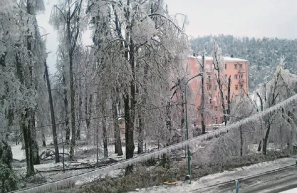 Že pot do trgovine je bila danes v Postojni smrtno nevarna