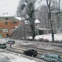 Lastniki avtomobilov pa so lahko le nemočno upali, da na njihovo težko prisluženo prevozno sredstvo ne bo padlo drevo  
