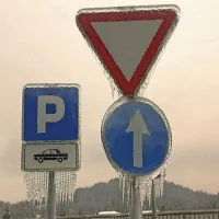 Pivka