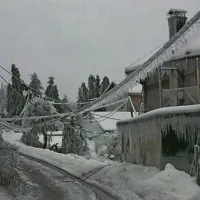Postojna