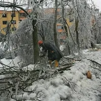Postojna