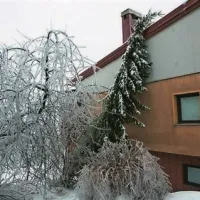 Postojna
