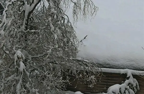 Žirovnica