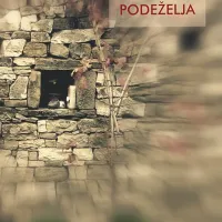 Rezultat raziskav