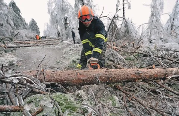 Drevesa in električni drogovi so popadali na ceste 