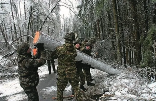 Rdeči alarm  za severozahod Slovenije, v gozdovih naravna katastrofa