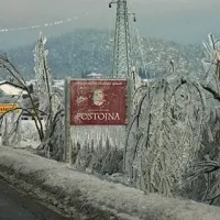 Rdeči alarm  za severozahod Slovenije, v gozdovih naravna katastrofa