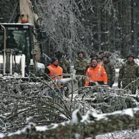 Rdeči alarm  za severozahod Slovenije, v gozdovih naravna katastrofa