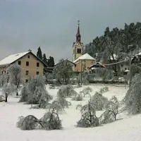 Rdeči alarm  za severozahod Slovenije, v gozdovih naravna katastrofa