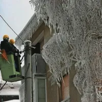 Rdeči alarm  za severozahod Slovenije, v gozdovih naravna katastrofa